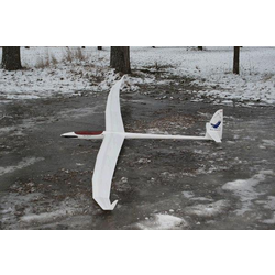 EMS Eagle