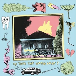 SOWT - Is This The Hard Part? (LP)