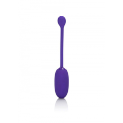 Cal Exotics – Rechargeable Kegel Ball