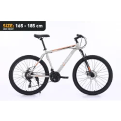 Xplorer MTB bicikl DENVER Sivi 26
