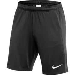 Nike Kratke hlače Dri-FIT Academy Pro 24