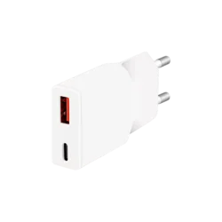 Logilink punjač 2 porta, 1 x USB type c, 1 x USB A, 20W, GaN, slim, bela
