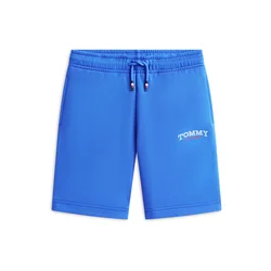 TOMMY HILFIGER Hlače modra/rdeča/bela