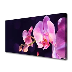 tulup.si Slika na platnu Cvetovi rastlin 100x50 cm