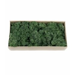 Mahovina, 500g
