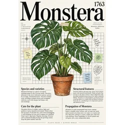 Plakat 30x40 cm Monstera botanični vintage za dnevno sobo