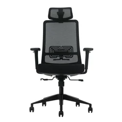 Ergonomska kancelarijska stolica UGD LumbarMax