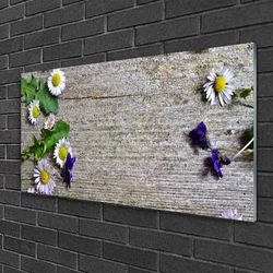 tulup.si Slika na steklu Daisy rastlin narava 120x60 cm 2 obešalnika