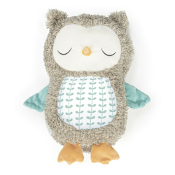 KIDS II Muzička plišana igračka za bebe Ingenuity Nally the owl