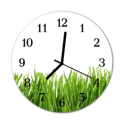 tulup.si Steklena okrogla ura Grass fi 30 cm