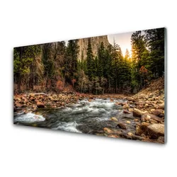 tulup.si Steklena slika Forest lake nature vode 100x50 cm 4 obešalnika