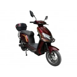 Električni bicikl 10 STORM bordo
