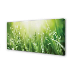 tulup.si Slika na platnu Grass sonce kapljice 100x50 cm