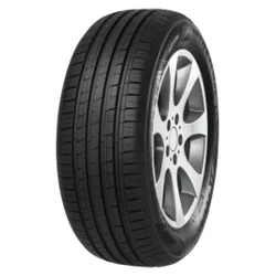 Minerva F209 ( 205/70 R14 95T )