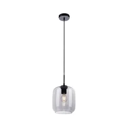 Paul Neuhaus 2002-25 - Luster na sajli SHITAKE 1xE27/10W/230V prečnik 20 cm zadimljena