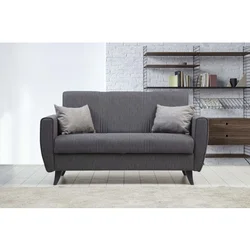 Atelier Del Sofa Zaden - Dark Grey Dark Grey 2-Seat Sofa-Bed