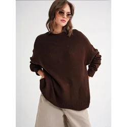 MixRay Pulover Pullover rjava