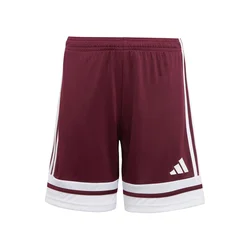 ADIDAS PERFORMANCE Športne hlače Squadra 25 rdeča/bela