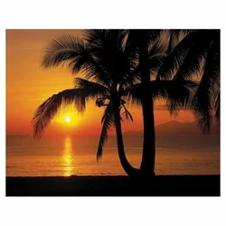 KOMAR Foto tapet 8-255, 368x254cm