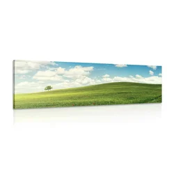 Slika čudoviti dan na travniku - 90x30