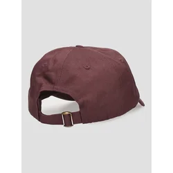 Blue Tomato Dad Hat Cap wild ginger