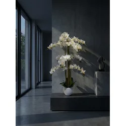 Umetna orhideja bela 120 cm Luma - bela - 50 do 75 cm - 51 do 70 cm
