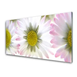 tulup.si Steklena slika Daisy rastlin narava 100x50 cm 4 obešalnika