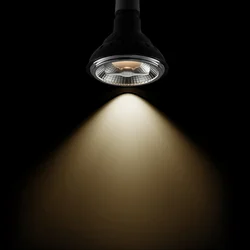 SEGULA Spot Line LED E27 16W PAR30 ambient-dim 36° Ra95 - črn - Kovina
