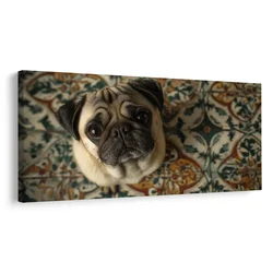 Slika pasji pogled na ornamente - 80x40