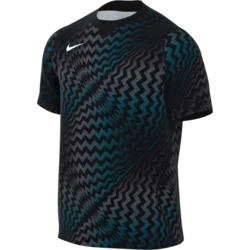 Nike Dres Dri-FIT Gardien VI Goalkeeper