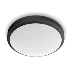 Philips - LED kupatilska plafonjera DORIS LED/6W/230V IP44