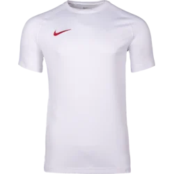 Nike Dres Dri-FIT Park VIII