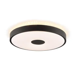Brilliant - LED plafonsko svetlo TAVIS LED/24W/230V pr. 44,5 cm crna