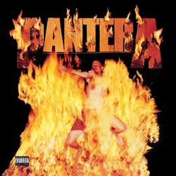 Pantera Reinventing The Steel
