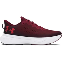 Under Armour Muške patike UA Infinite 3027523-600, Bordo