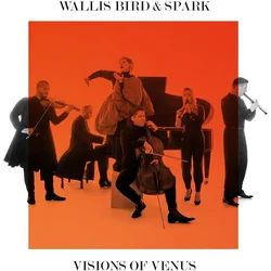 Spark - Visions Of Venus (LP)