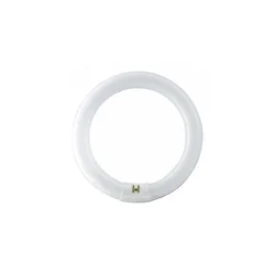 FLUO CIJEV OKRUGLA G10Q/22W/840 PHILIPS