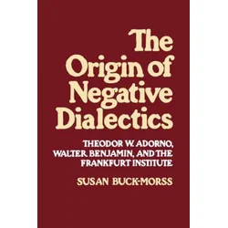 Origin of Negative Dialectics