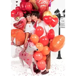 Folija balon Love Elixir 54x66 cm