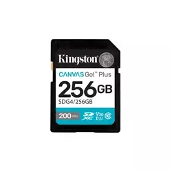 KINGSTON MEMORIJSKA KARTICA SDG4 256GB