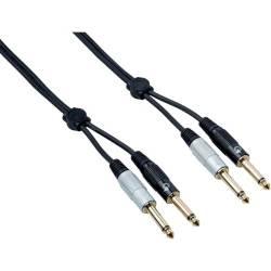 Bespeco EA2J500