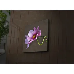 Zidna slika sa LED osvetljenjem 4040IACT-44, 40x40 cm