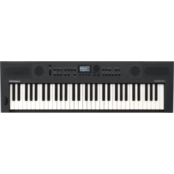 Roland GO:KEYS 5 Keyboard z dinamiko Graphite (Kot novo)