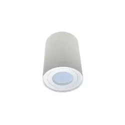 Spot svetlo CRIKO 1xGU10/30W/230V belo