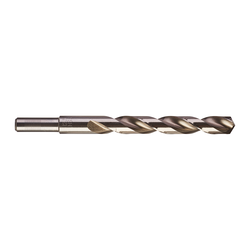 Milwaukee Pakovanje 10 burgija THUNDERWEB HSS-G 10/1, 12.5x151x101mm