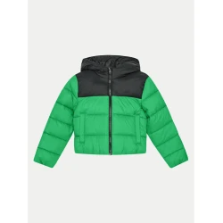 4F Puhovka 4FJWAW24TDJAM462 Zelena Regular Fit
