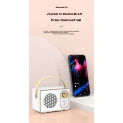 Weizhi Bluetooth zvučnik DZ-004, Beli