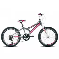 Capriolo bicikl MTB DIAVOLO 200/6HT graphite-pink