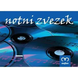 NOTNI ZVEZEK B5 16L