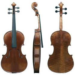 Viola Maestro 6 Gewa – različni modeli